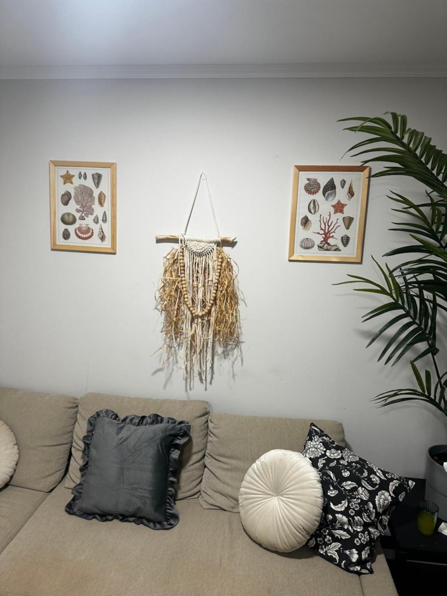 Apartamento Villa Florida 116 カレタ・デ・フステ エクステリア 写真